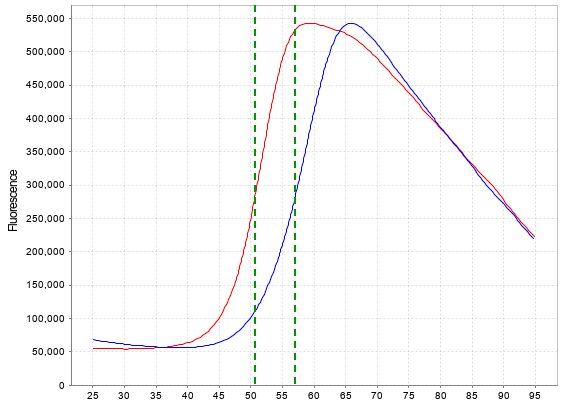 TEAD2(YBD), His Tag Protein