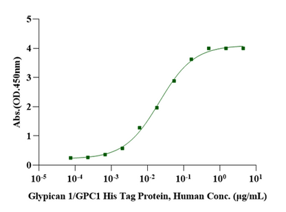 FGF-basic(154aa) Protein, Human