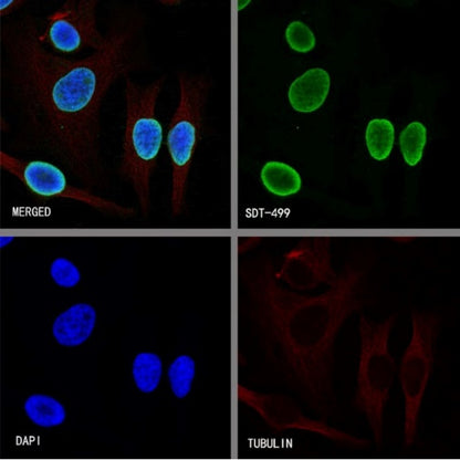 Histone H4 Recombinant Rabbit mAb (S-499-30)