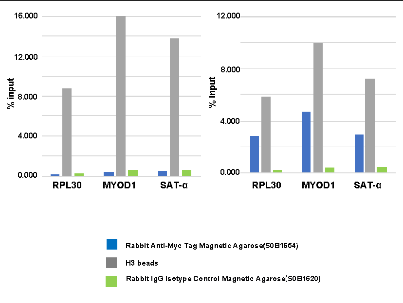 Rabbit Anti-Myc Tag Magnetic Agarose