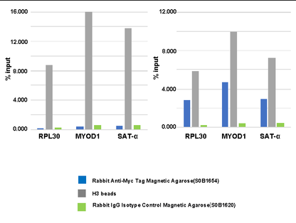 Rabbit Anti-Myc Tag Magnetic Agarose