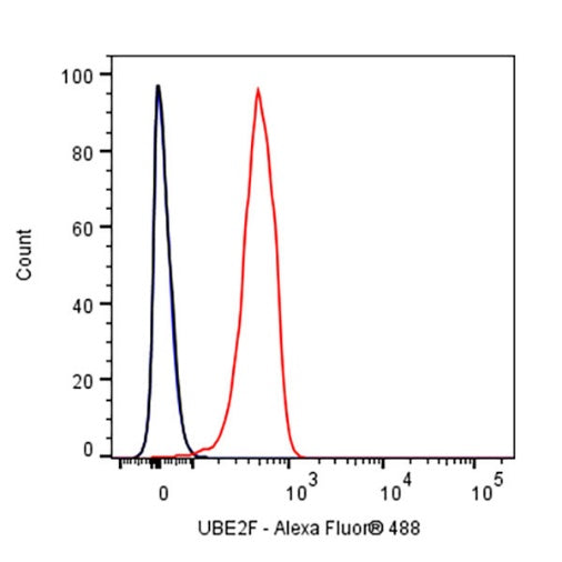 UBE2F Recombinant Rabbit mAb (S-2672-26)