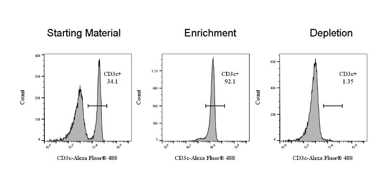 CD3ε Nanobeads Kit, mouse (RUO)