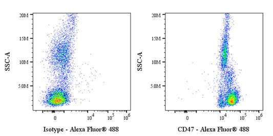 Alexa Fluor® 488 Mouse Anti-Human CD47 Antibody (S-3383)