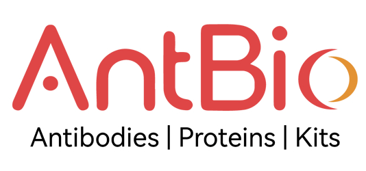 AntBio