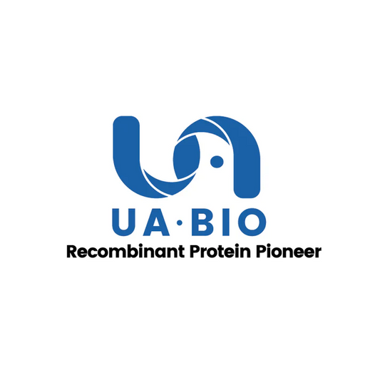 IL-23 Protein, Rat