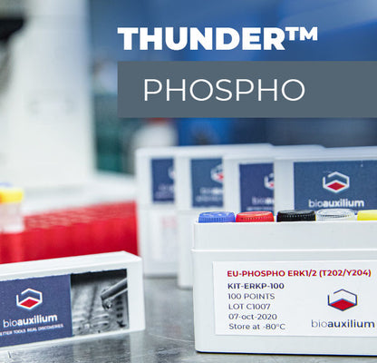THUNDER™ Phospho-BAD (S112) TR-FRET Cell Signaling Assay Kit