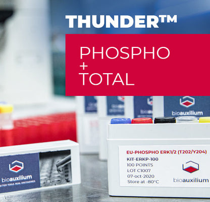 THUNDER™ Phospho-STAT5 (Y694/Y699) + Total STAT5 TR-FRET Cell Signaling Assay Kit