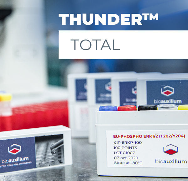 THUNDER™ Total STAT3 TR-FRET Cell Signaling Assay Kit